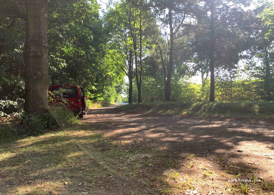 (24329) Grebin - 1004 Behler Weg — foto 2