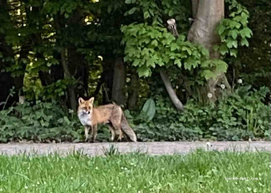 Harz - Camp Bremer Teich — foto 4