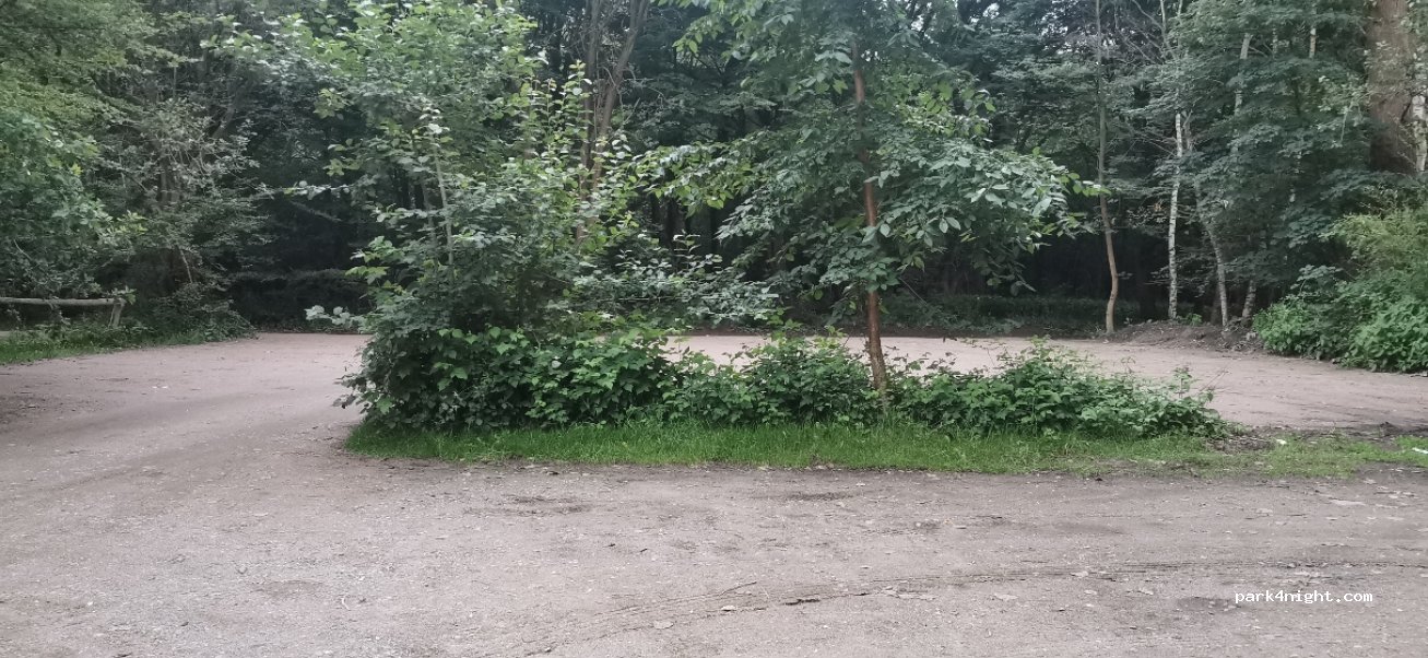 (22453) Hamburg - Niendorfer Gehege — foto