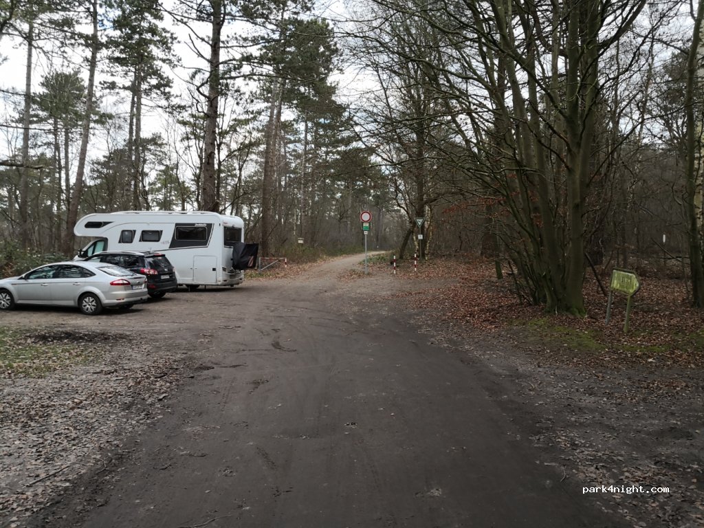 (27476) Cuxhaven - Sahlenburger Waldweg — foto