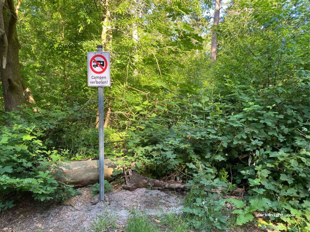 (27476) Cuxhaven - Sahlenburger Waldweg — foto 3
