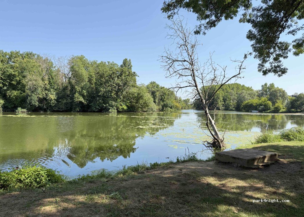 Camping et Guinguette Les Bords de Seille — foto 5