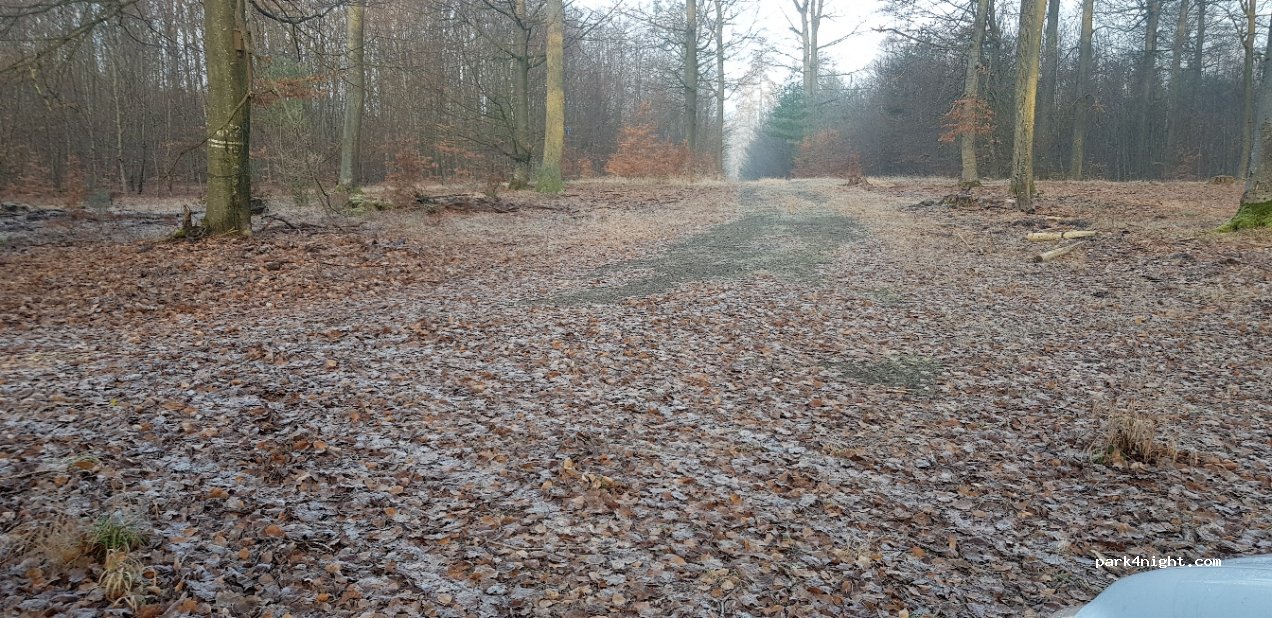 () Trippstadt - L503 — foto