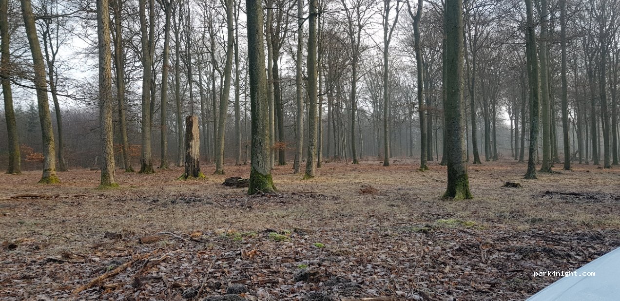() Trippstadt - L503 — foto 2