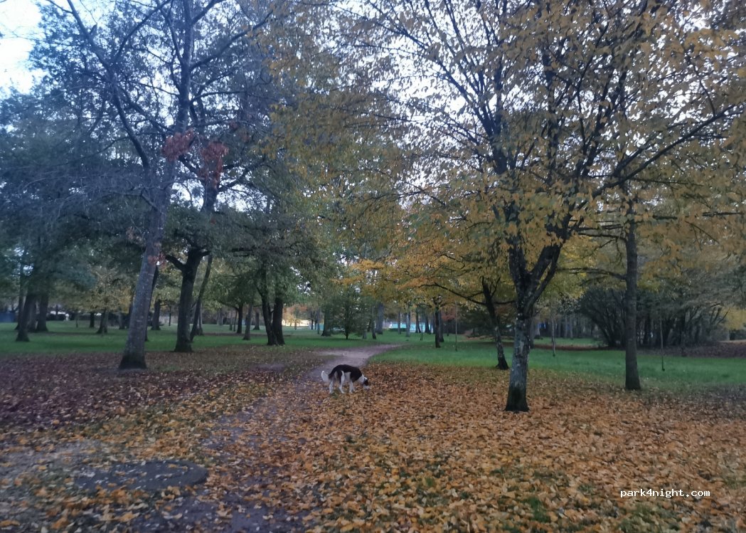 (37270) Montlouis-sur-Loire - 3-5 Allée du Parc — foto 3