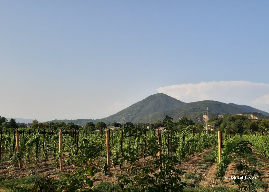 Farm Bacchus and Ariadne — foto 2