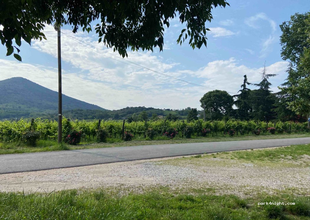 Farm Bacchus and Ariadne — foto 4