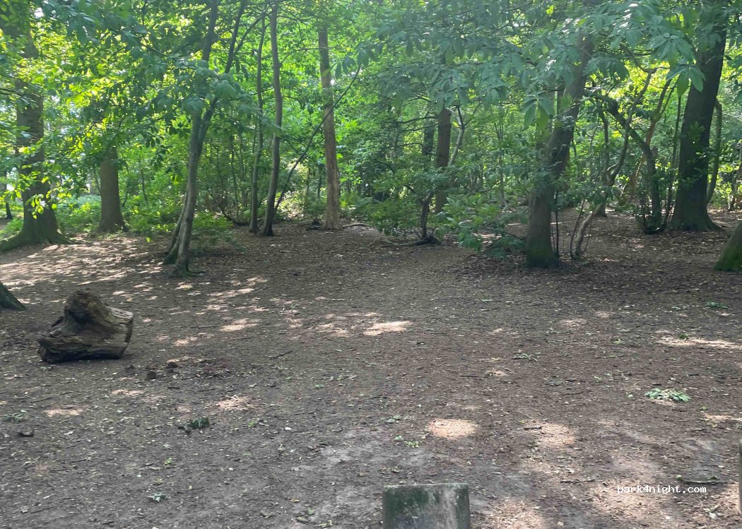 (TF10) Newport - Marsh Road — foto