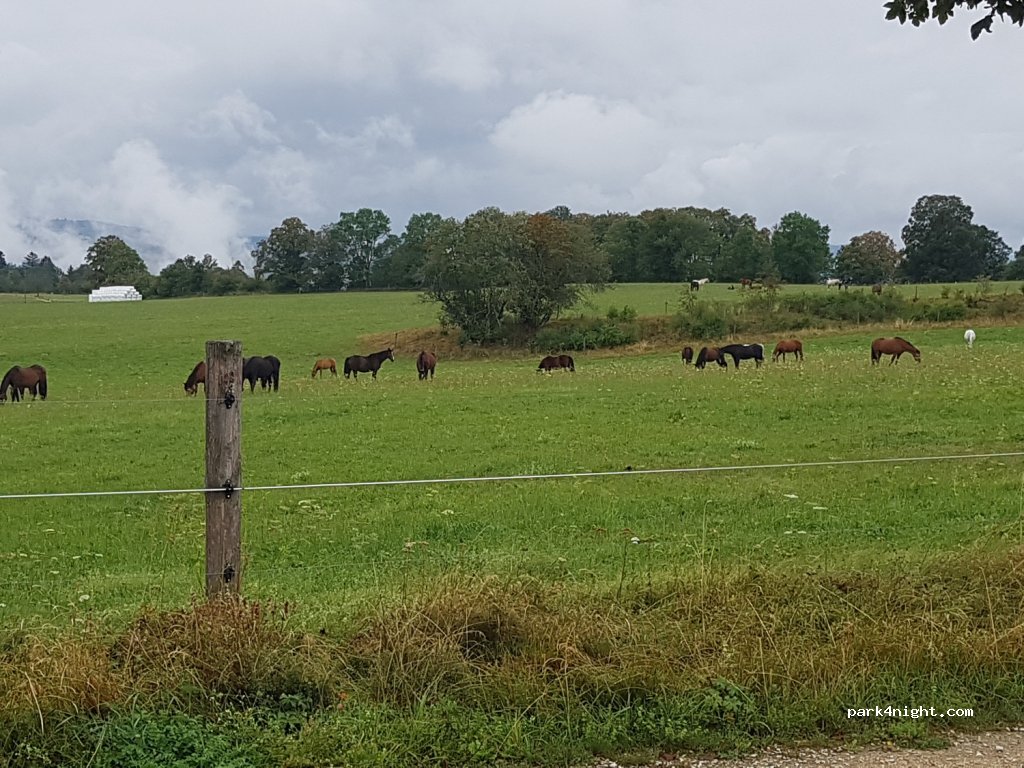 (2336) Les Bois - La Broche — foto 3