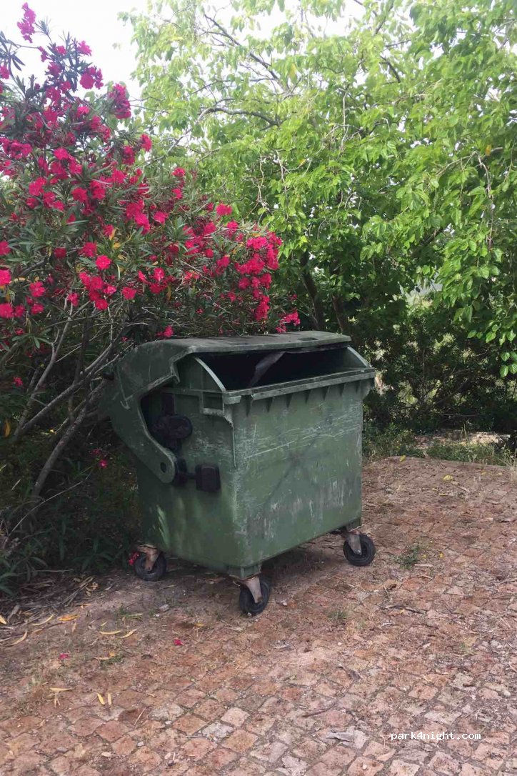 (43763) Vespella de Gaià - TV-2021 — foto 3