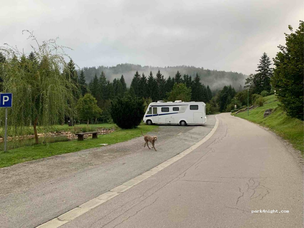 (51317) Leska - Unnamed Road — foto 2