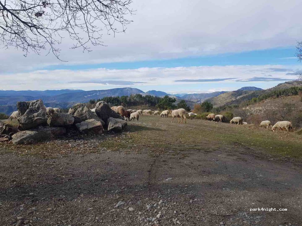 (06440) Lucéram - Unnamed Road — foto 3
