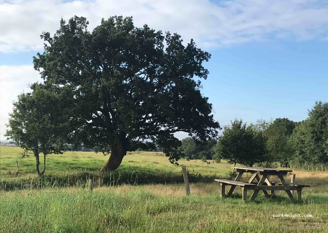 (49710) Le Longeron - Unnamed Road — foto 3
