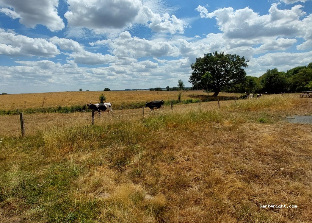 (49710) Le Longeron - Unnamed Road — foto 4
