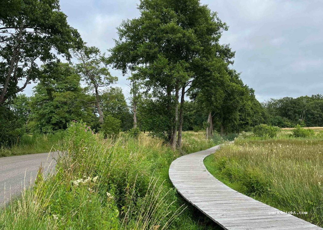 (9484 TE) Oudemolen, Drenthe - 4 Molensteeg — foto 2