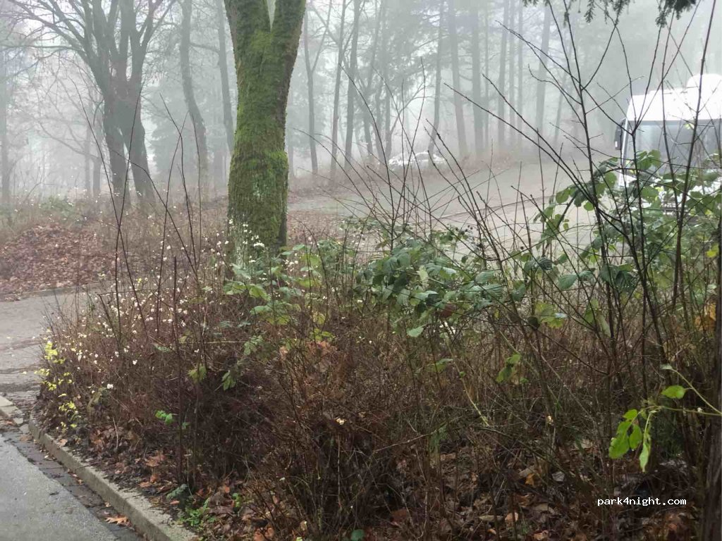 (42549) Velbert - 22 Marsstraße — foto 2