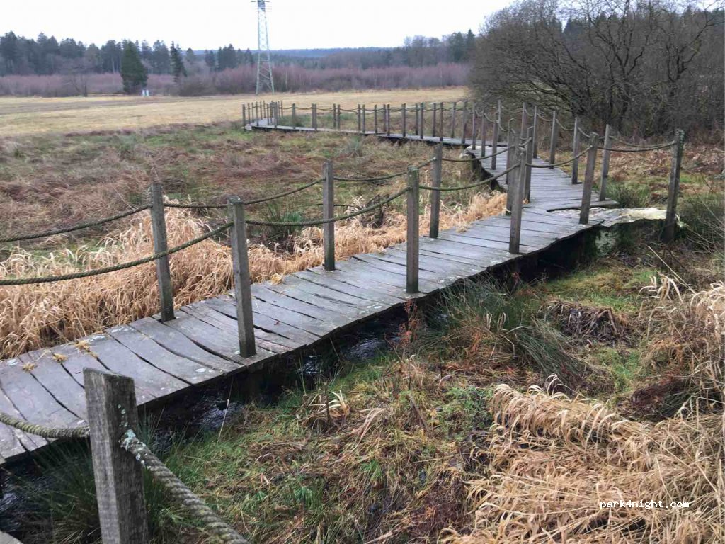 (54497) Morbach - K124 — foto 3