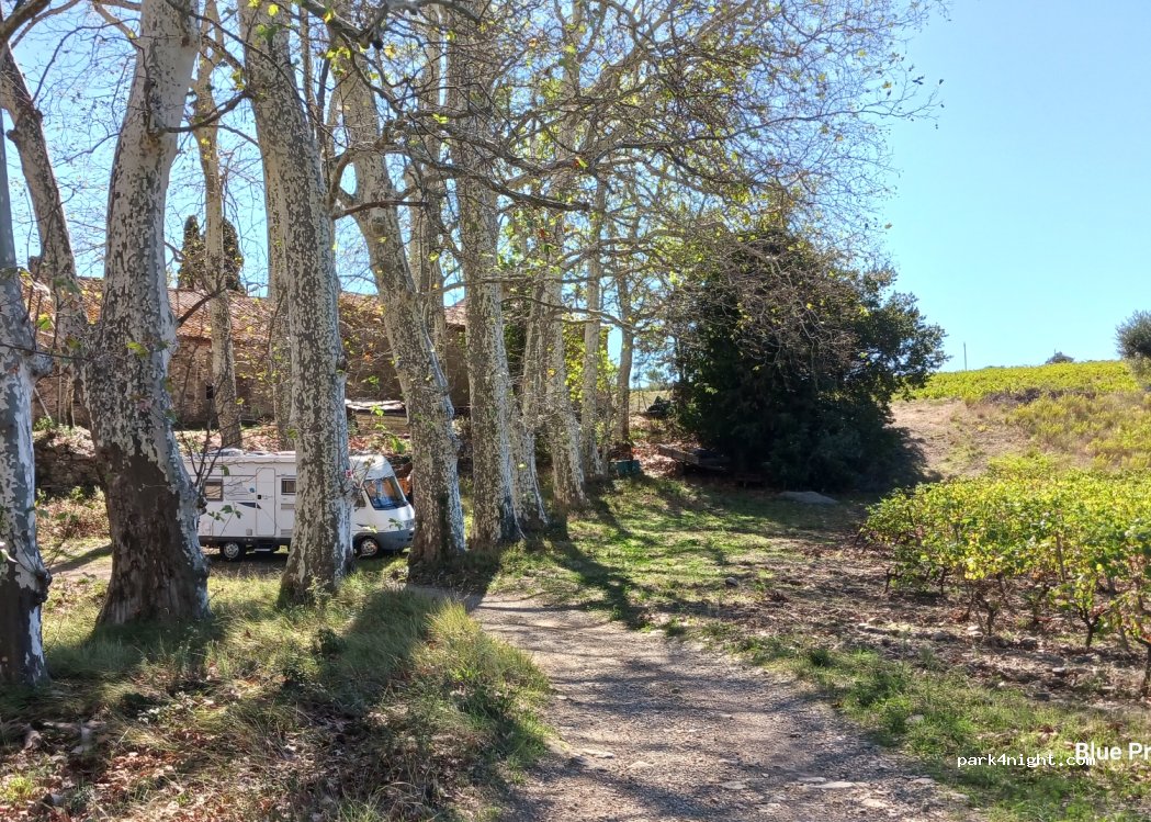 Coulon Castel Brigitte — foto 4