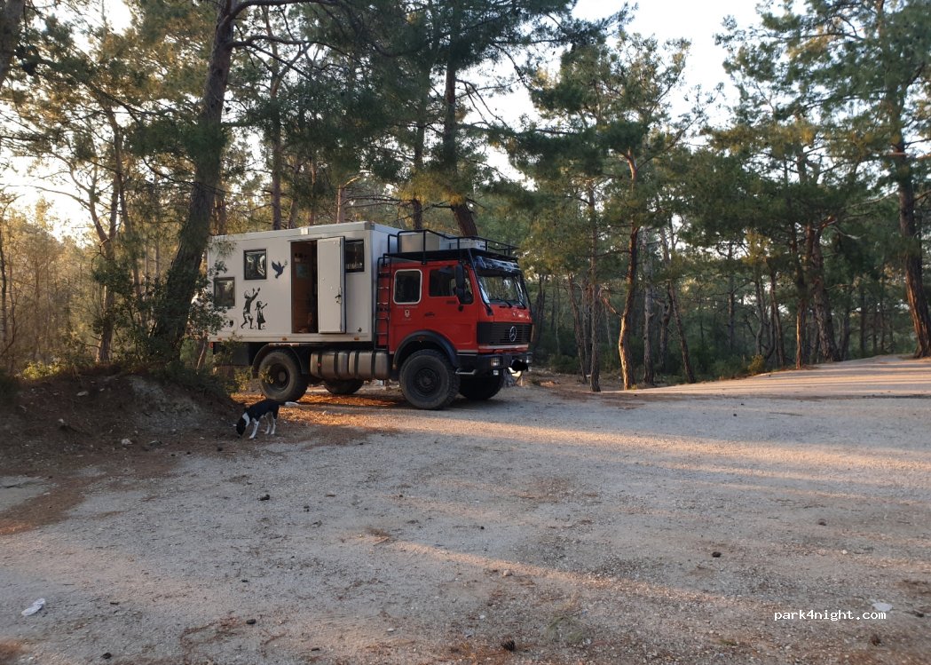 (48340) Muğla - Aşağı Yaşdam Caddesi — foto 2