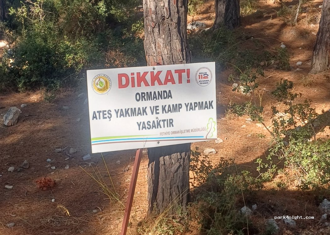 (48340) Muğla - Aşağı Yaşdam Caddesi — foto 4
