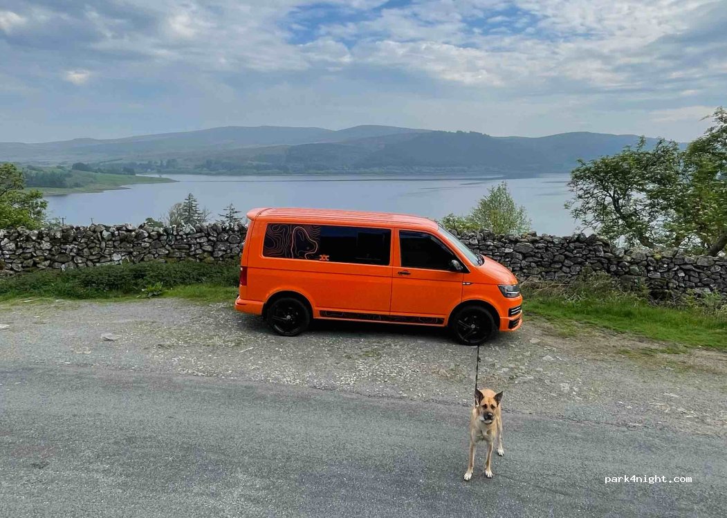 (LL23 7PB) Bala - Arenig Fell Race — foto 4