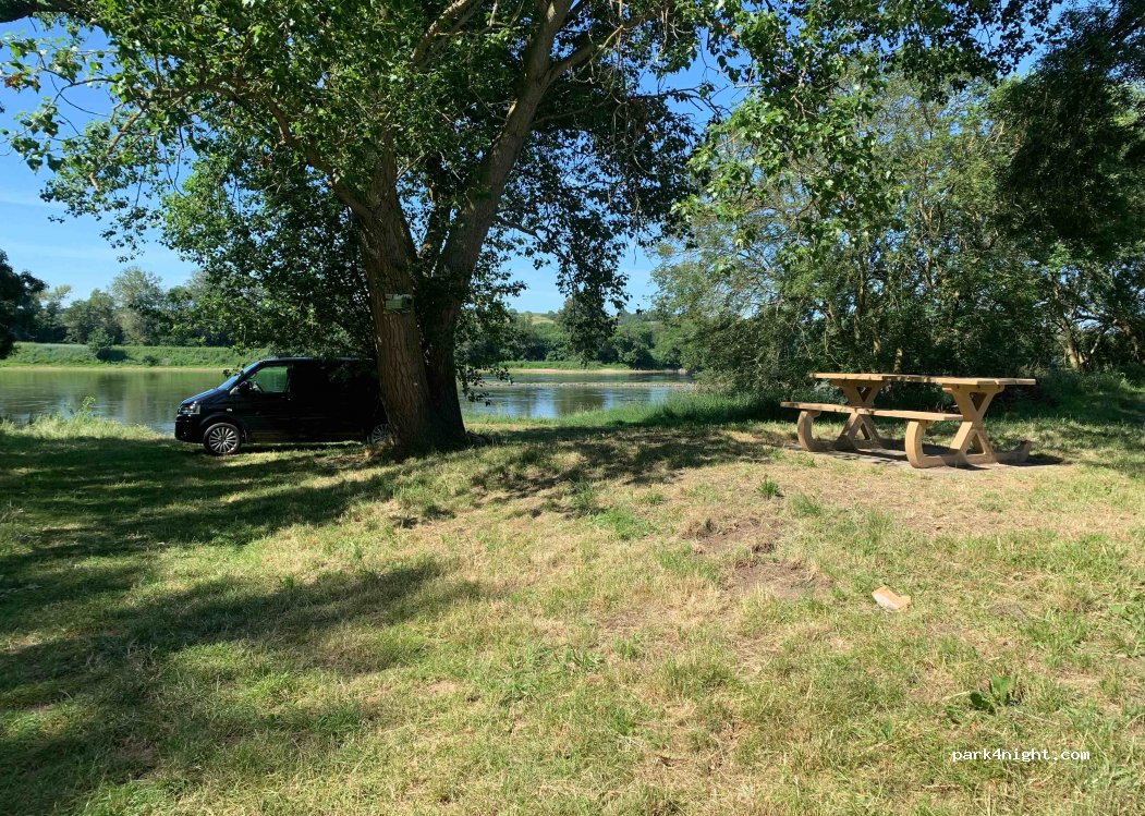 (49290) Chalonnes-sur-Loire - Queue de Margerie — foto 2