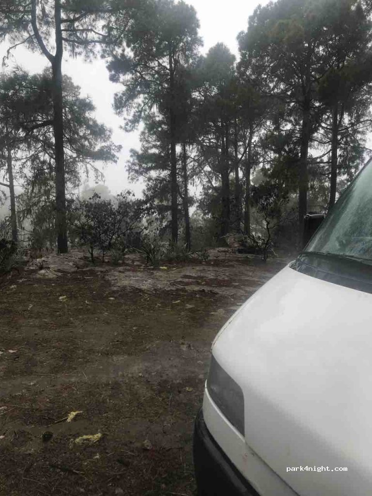 (35489) Agaete - 1 Lugar Tamadaba — foto 2