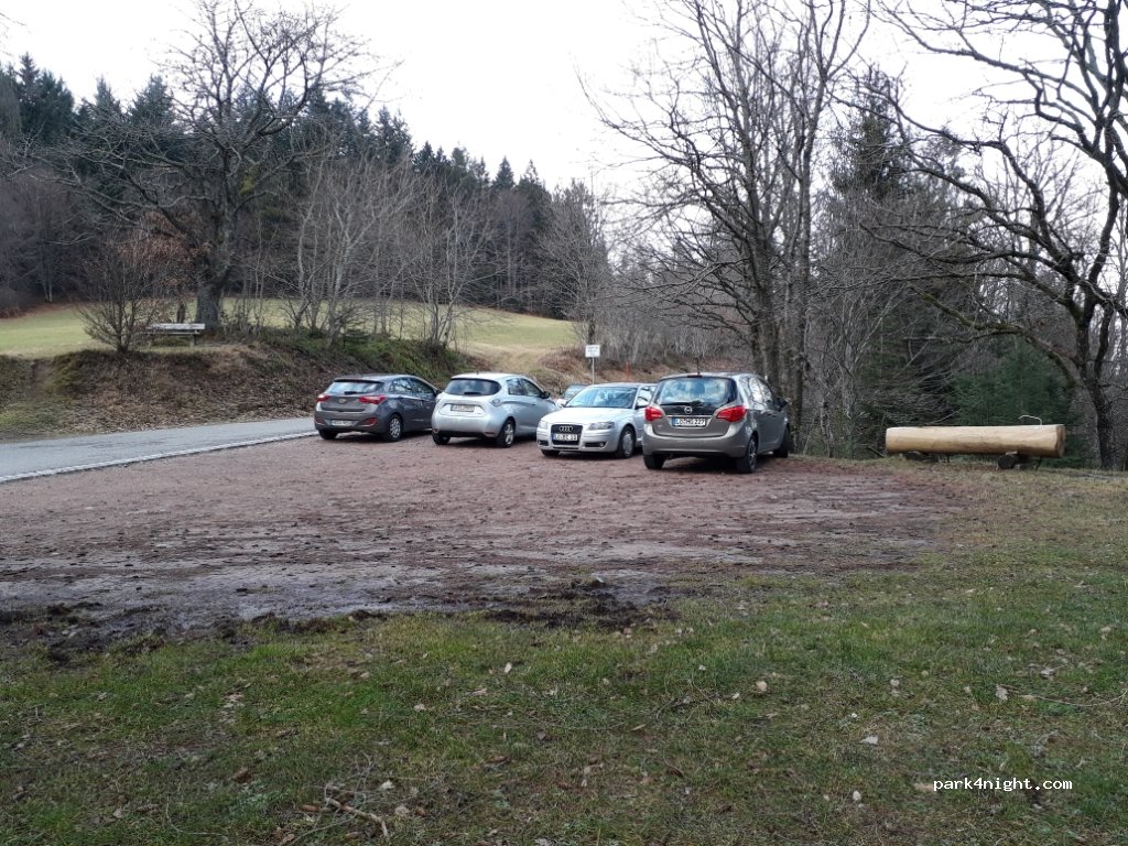 (79669) Zell im Wiesental - Unnamed Road — foto