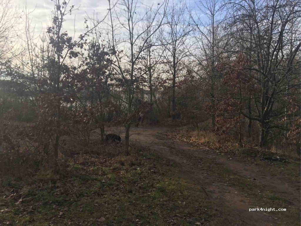 (533 45) Opatovice nad Labem - — foto 3