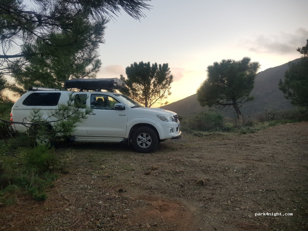 (29680) Estepona - MA-8301 — foto