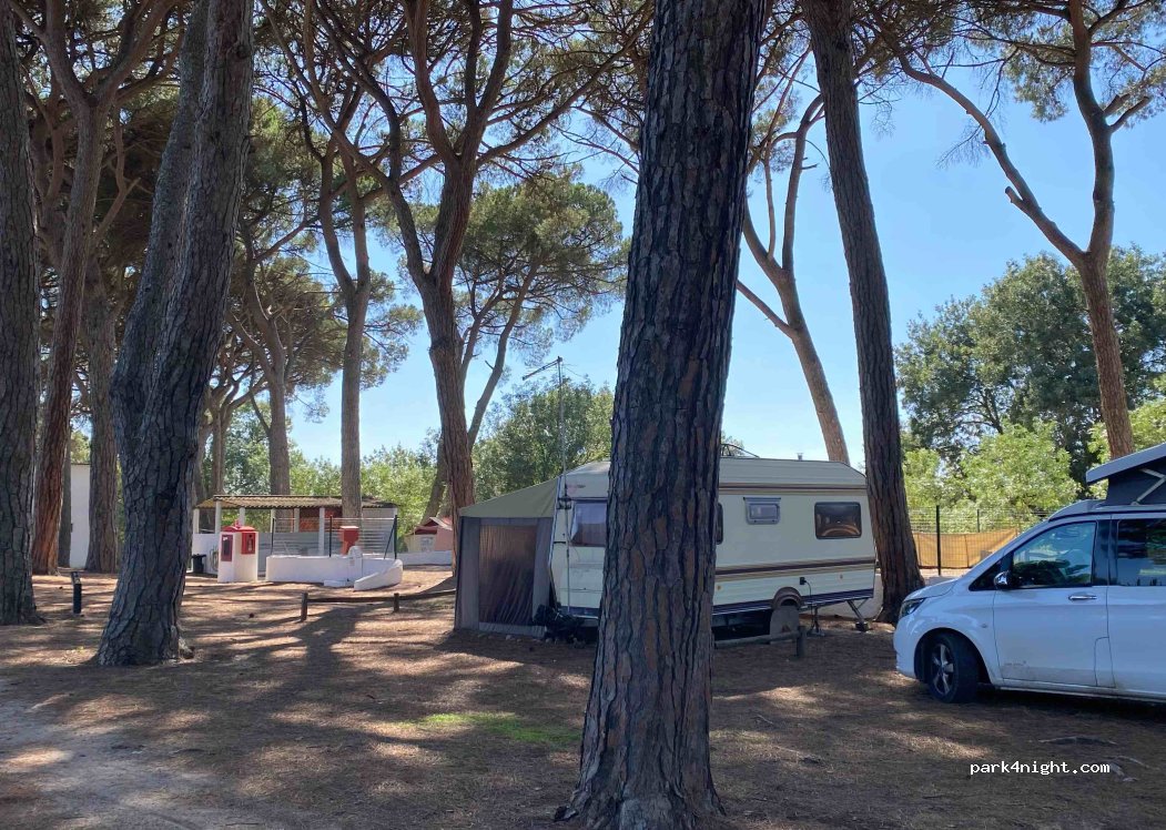 Parque de Campismo do Escaroupim — foto 4