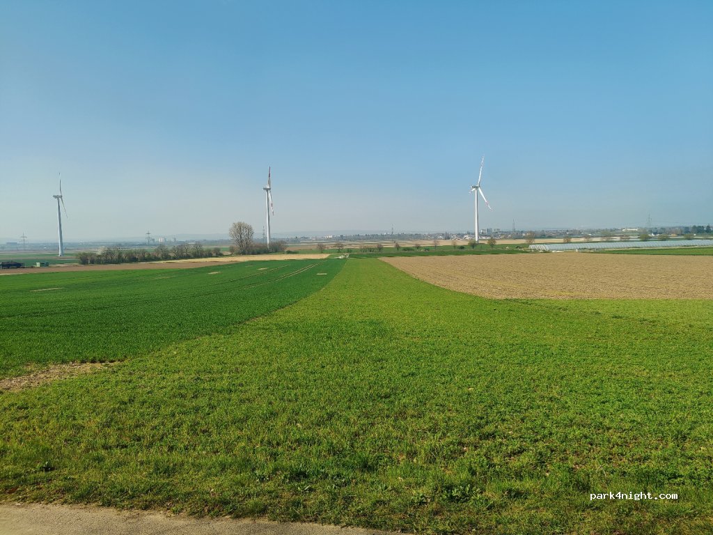(52399) Merzenich - 13 Am Buschfeld — foto 4