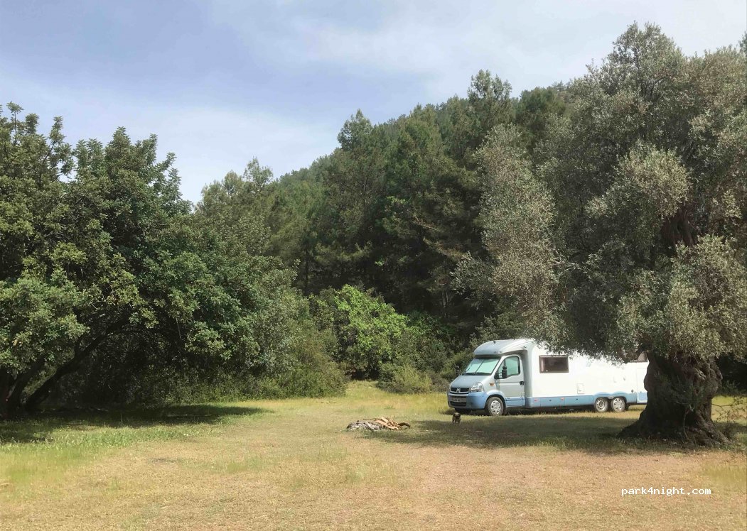 (48770) Muğla - — foto 4
