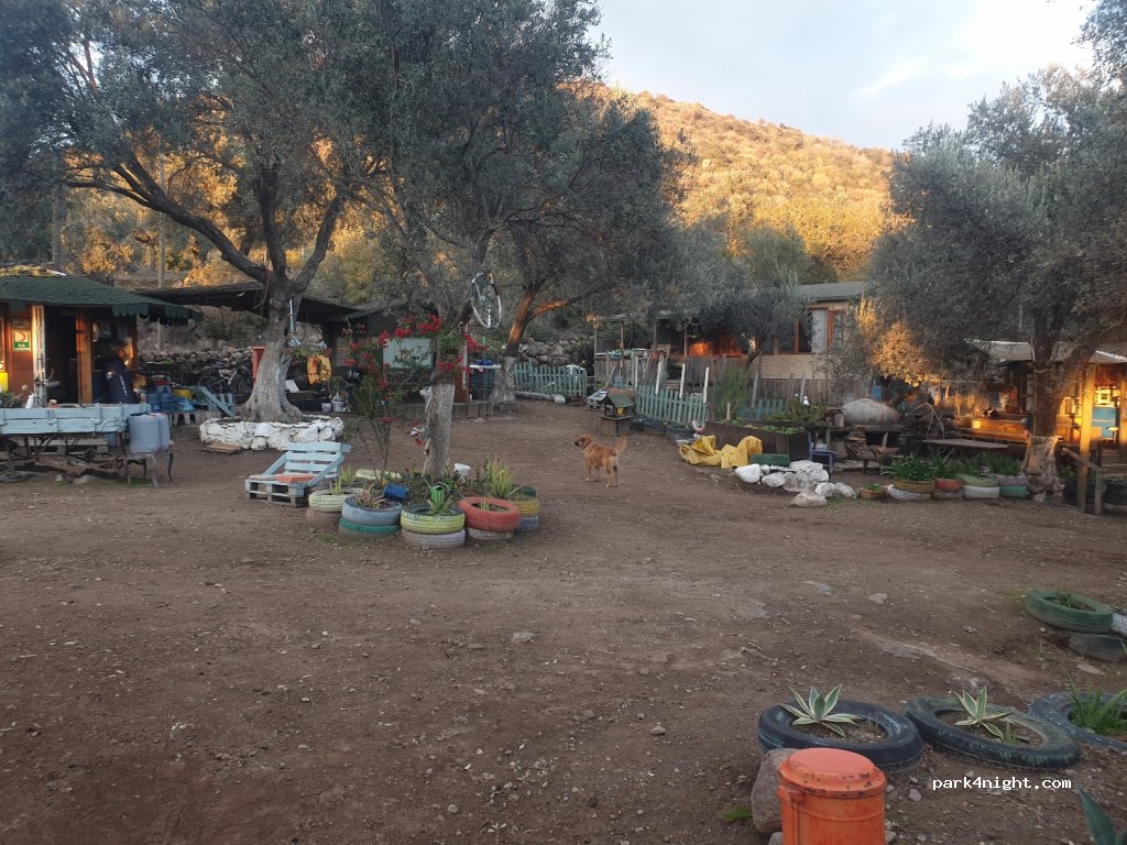 Volo Camping — foto 3