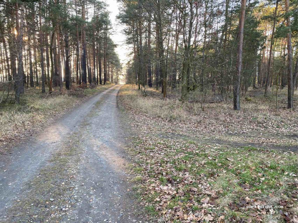 (01920) Oßling - Unnamed Road — foto 3