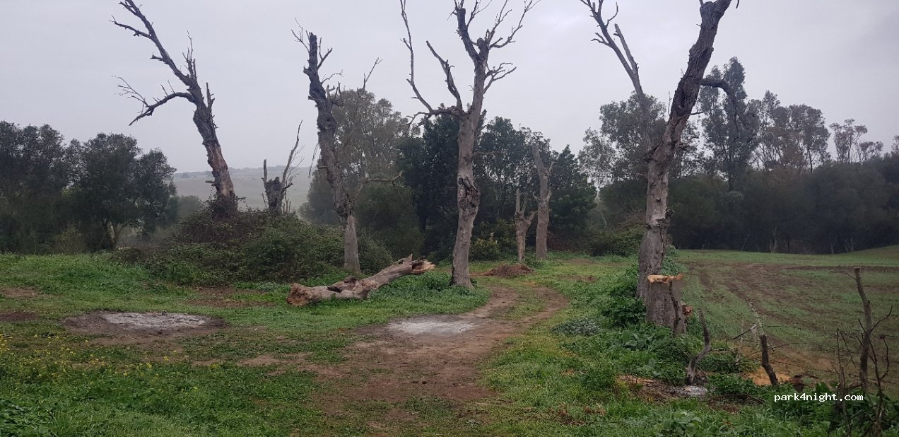 (11150) Barbate - Carretera Arroyo San Ambrosio — foto 2