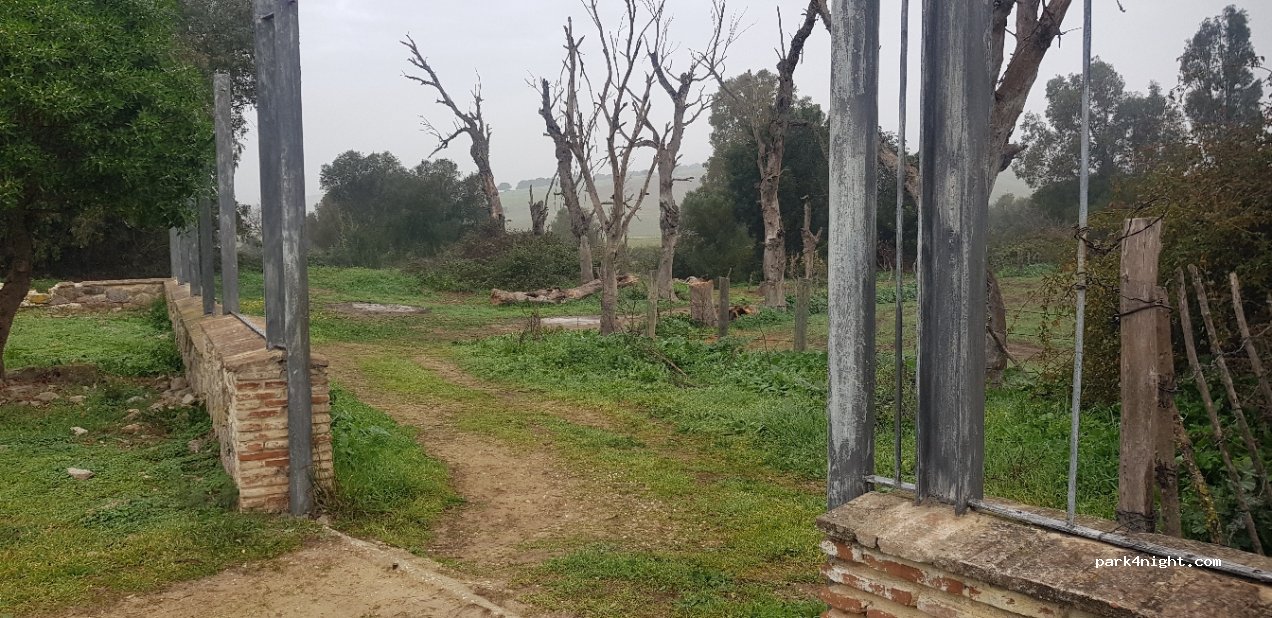 (11150) Barbate - Carretera Arroyo San Ambrosio — foto 3