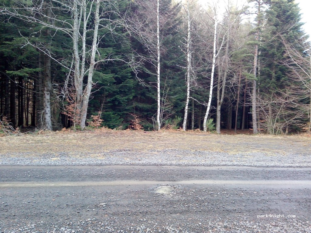(43200) Araules - Unnamed Road — foto 2