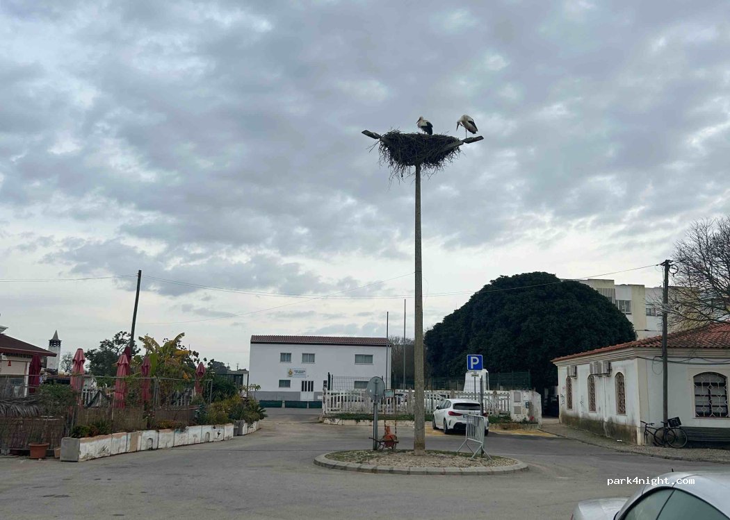 Leme — foto 5