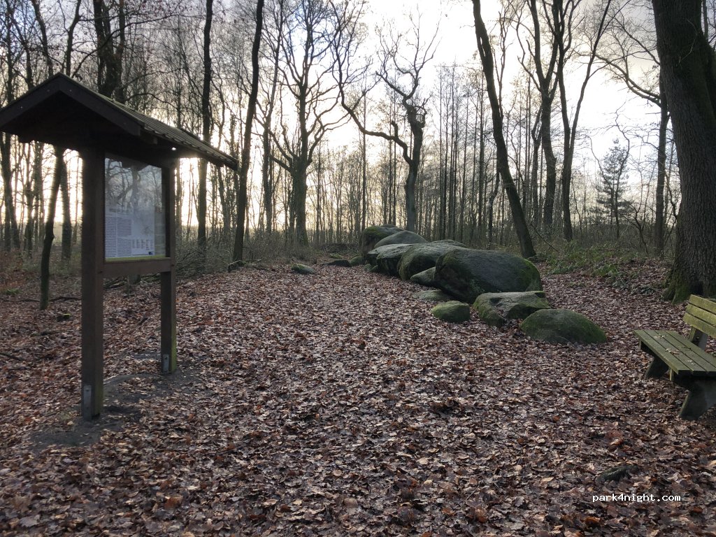 (49757) Werlte - Unnamed Road — foto 2