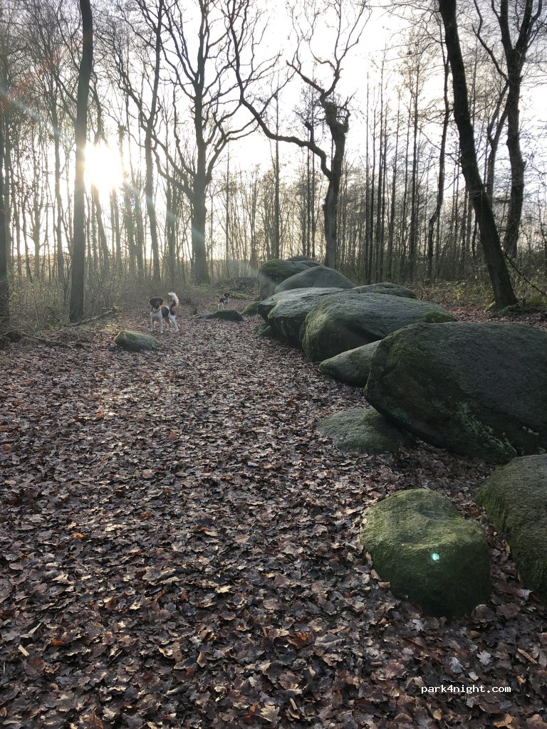 (49757) Werlte - Unnamed Road — foto 3