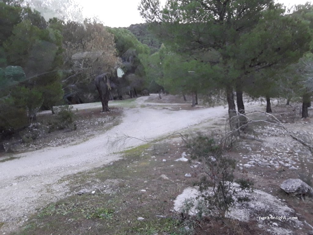 (29320) Campillos - Unnamed Road — foto