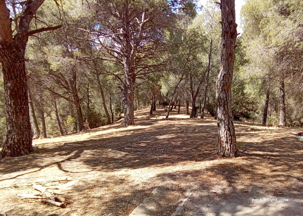 (29320) Campillos - Unnamed Road — foto 4