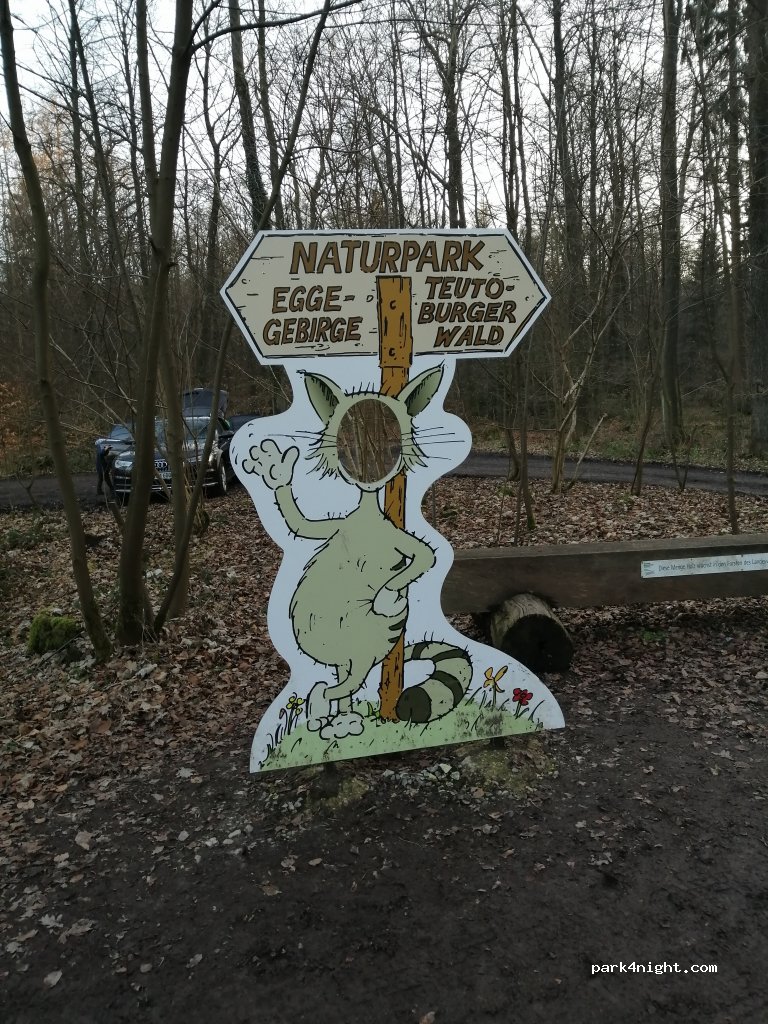 (32805) Horn-Bad Meinberg - Neuer Teich — foto 3