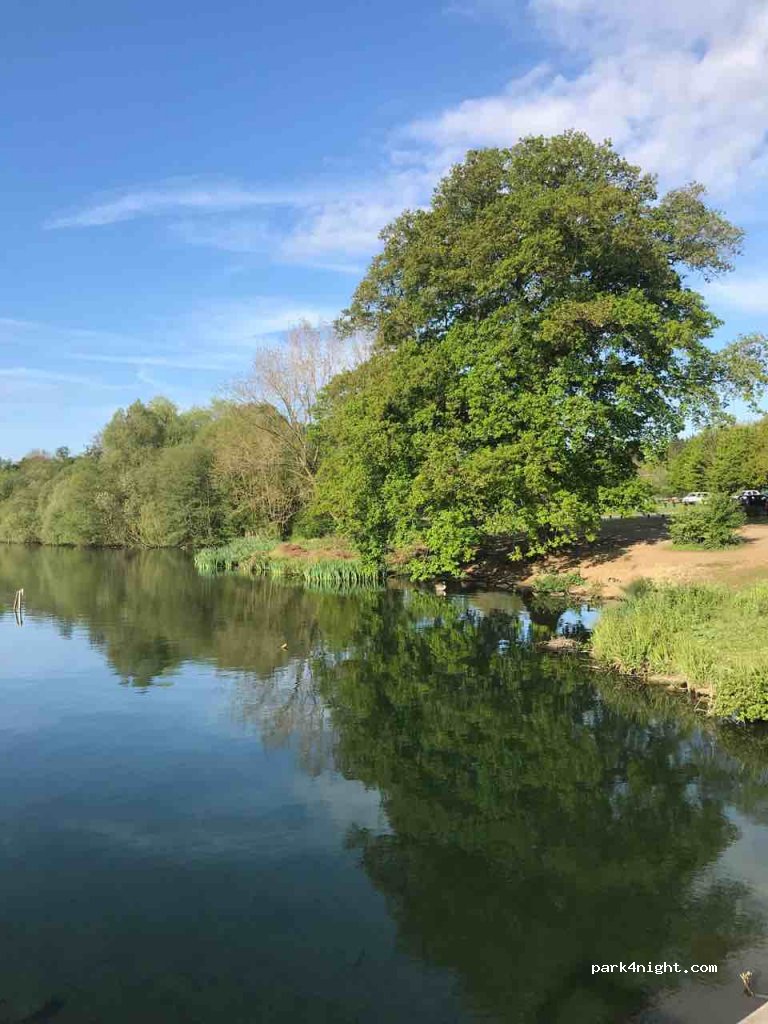 Aldenham Park — foto