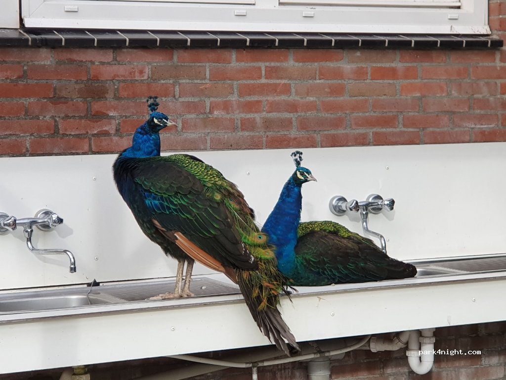Aan de Waterspiegel — foto 2