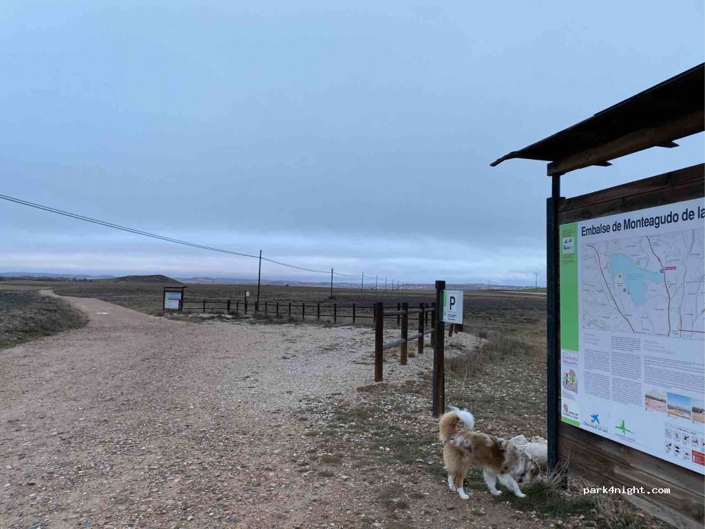 () Monteagudo de las Vicarías - Unnamed Road — foto