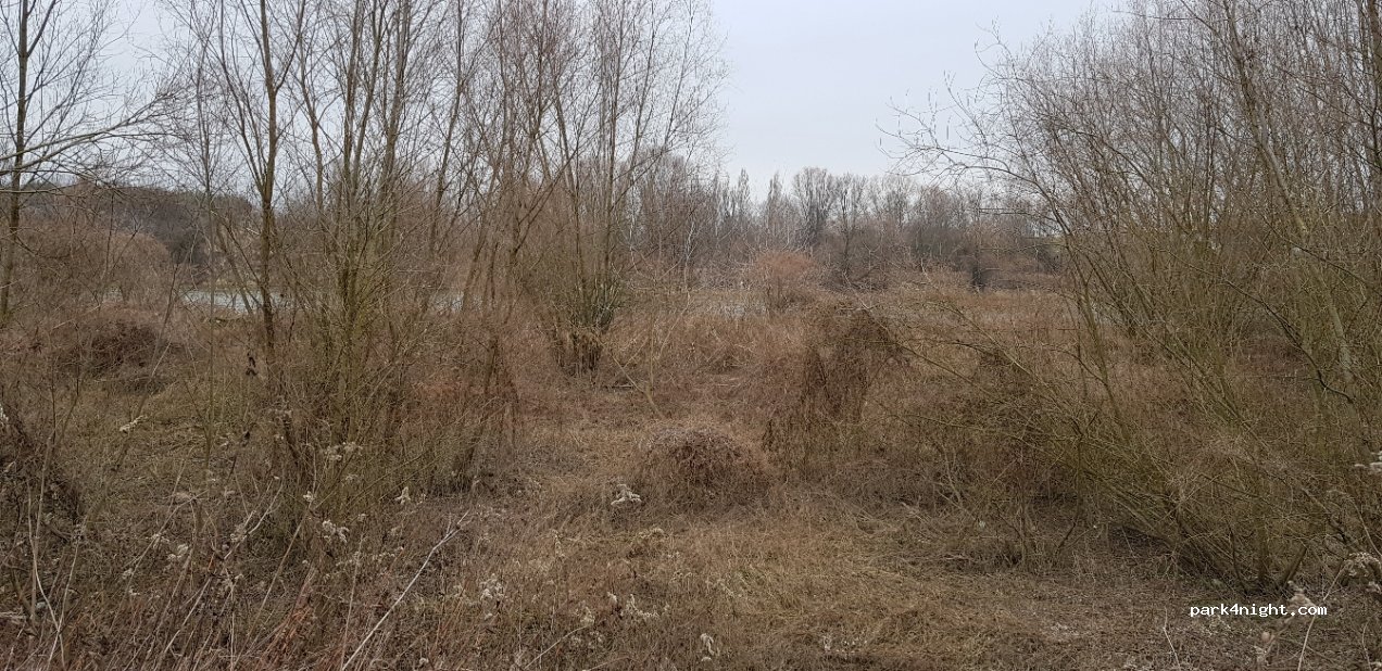 (37-450) Stalowa Wola - Droga Wojewódzka 855 — foto 3