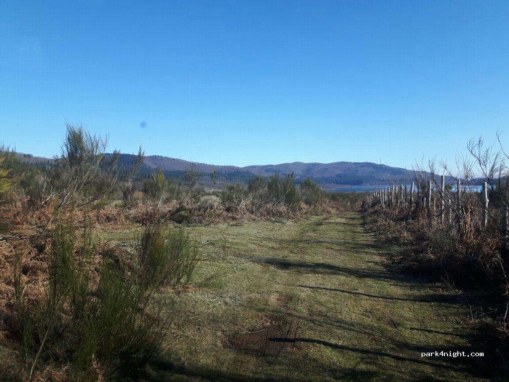 (89822) Brognaturo - Strada Provinciale 43 — foto