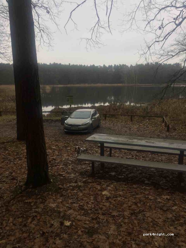 (86-160) Płochocin - Droga Wojewódzka 238 — foto